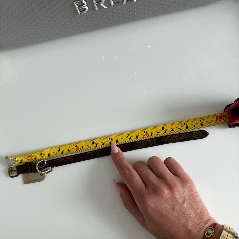 Louis Vuitton Leather Small Dog Collar with Gold Tag - Picture 3 of 3